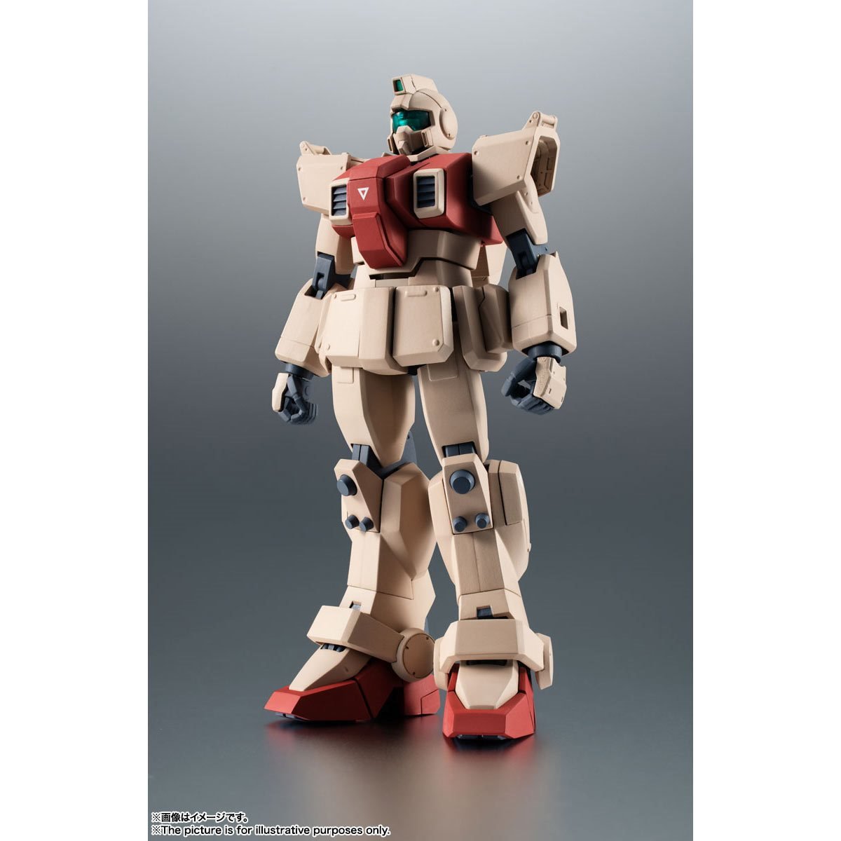 Mobile Suit Gundam Side MS RGM-79 The Robot Spirits Figure